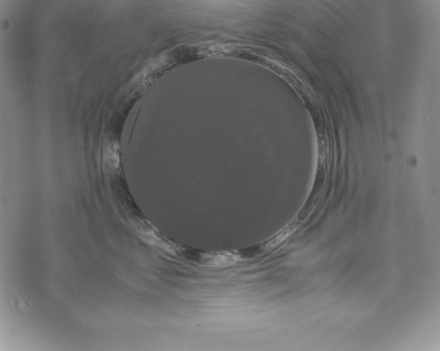 X0000072500621200608041443