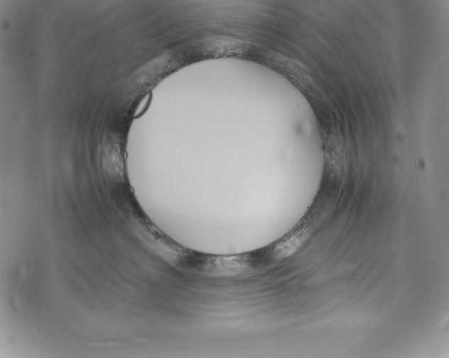 X0000072500622200608041443