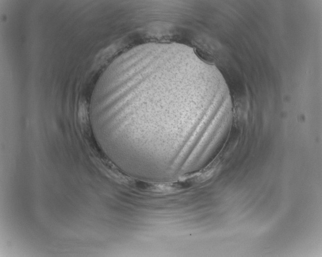 X0000072500623200608041443