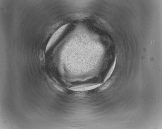 X0000072500624200608041443