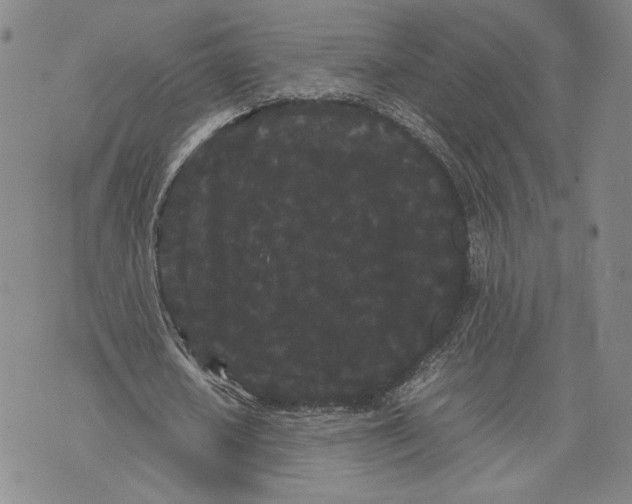 X0000072500626200608041442