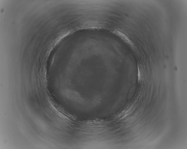 X0000072500627200608041442