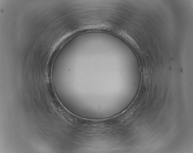 X0000072500628200608041442