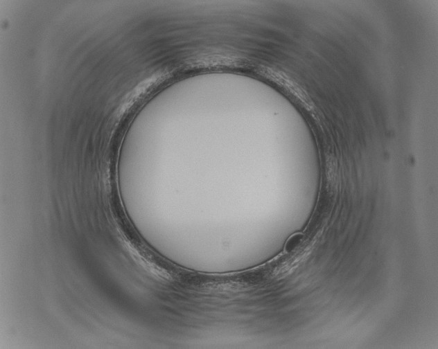 X0000072500629200608041442