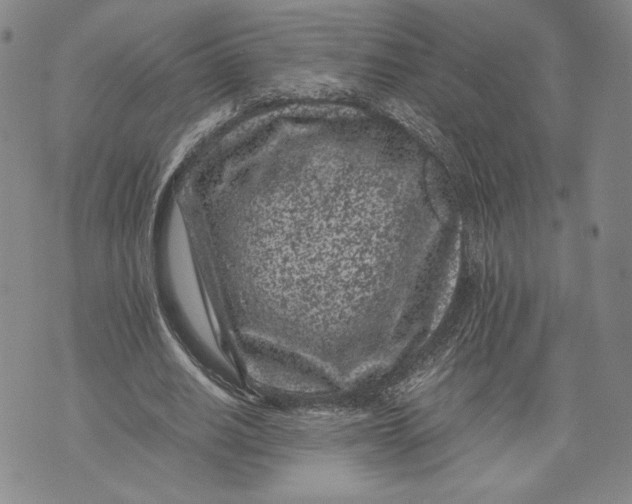 X0000072500630200608041442