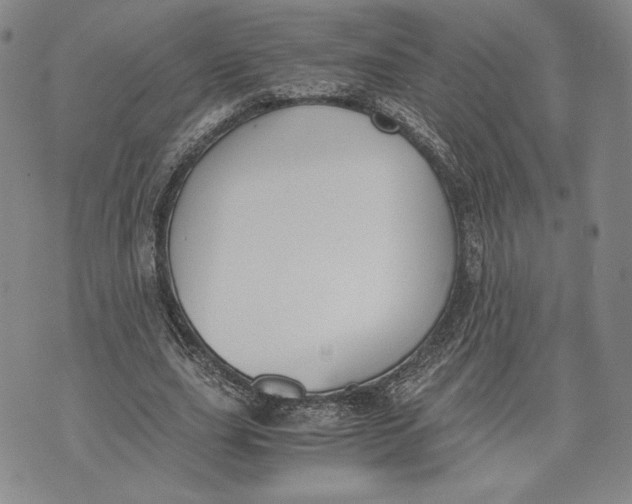 X0000072500631200608041442