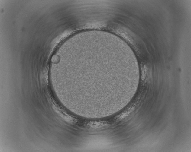 X0000072500632200608041442