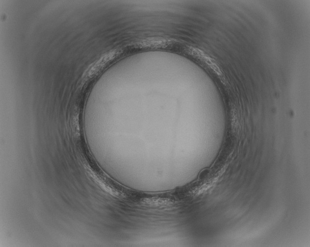 X0000072500633200608041442