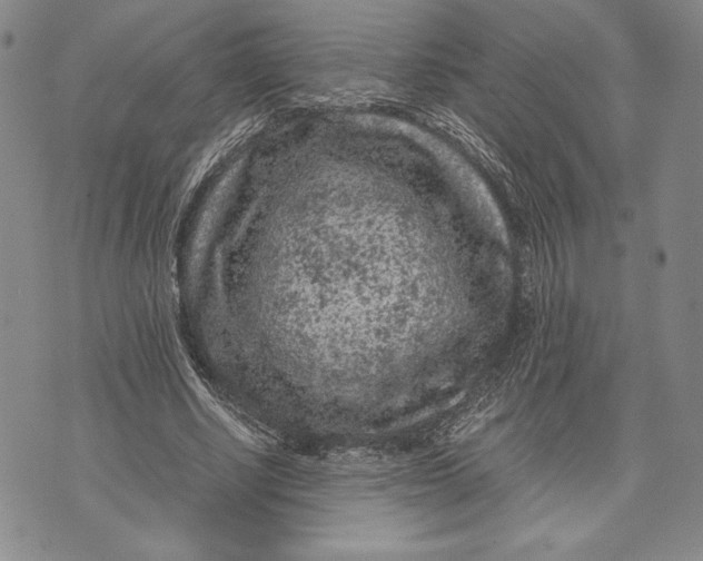 X0000072500634200608041442