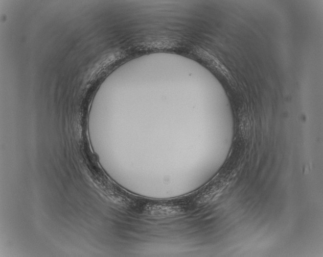 X0000072500635200608041442