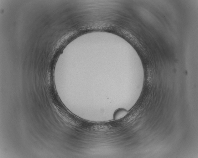 X0000072500636200608041442