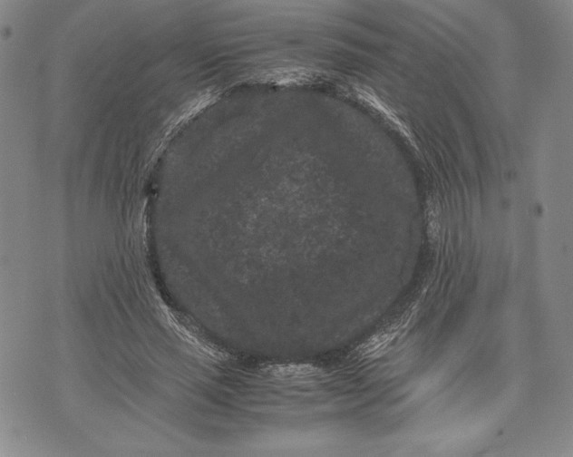 X0000072500637200608041442