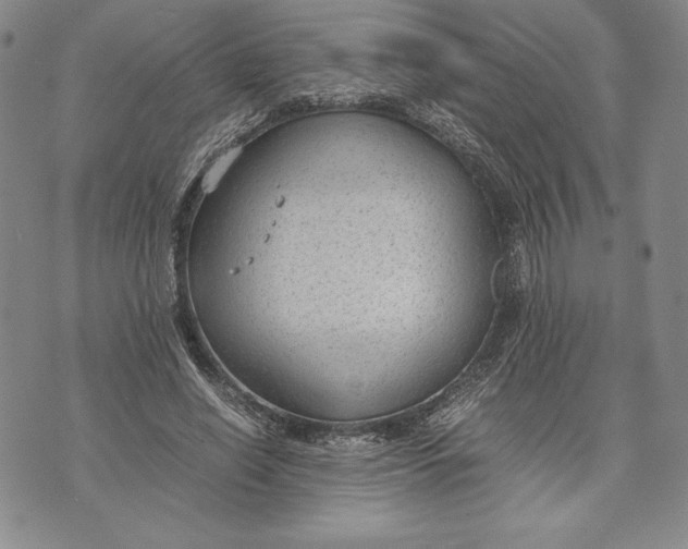 X0000072500638200608041442