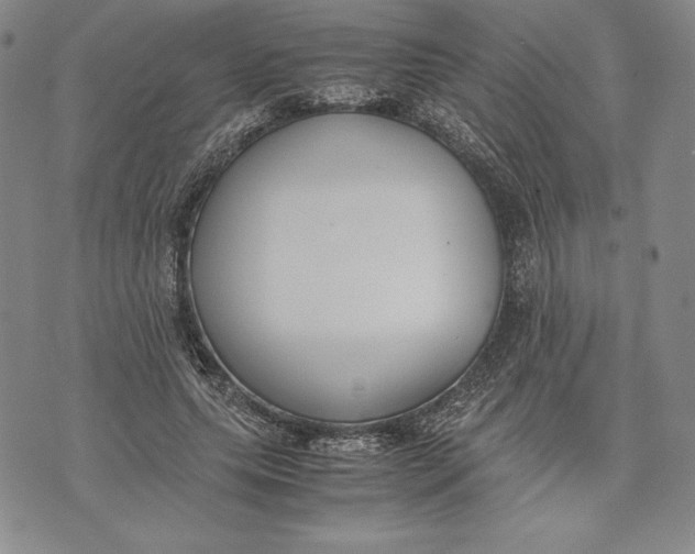 X0000072500639200608041442