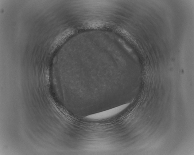 X0000072500640200608041442