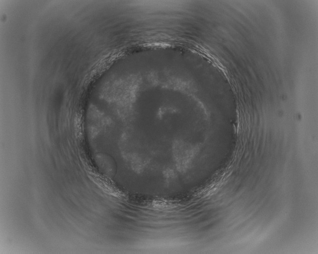 X0000072500641200608041442