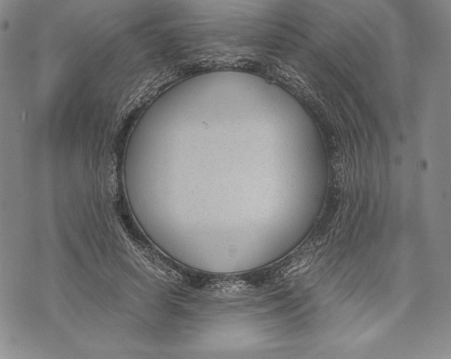 X0000072500642200608041442