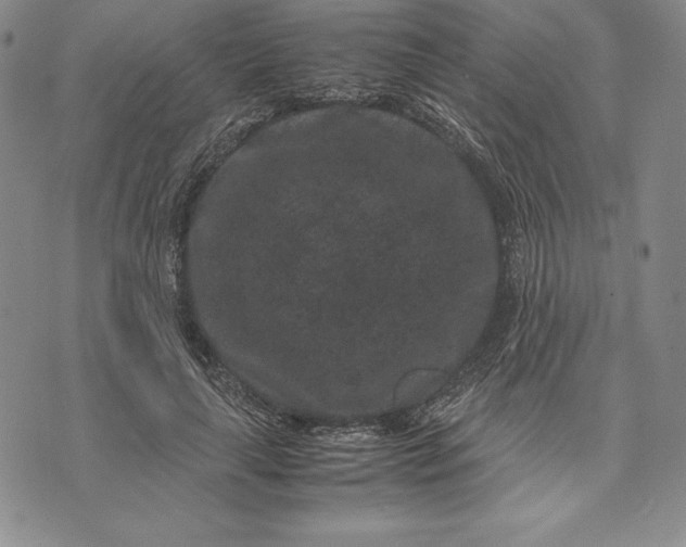 X0000072500643200608041442