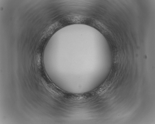 X0000072500646200608041442