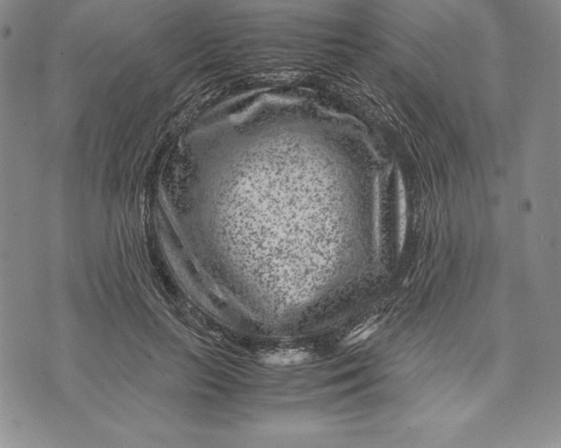 X0000072500647200608041442