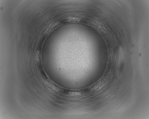 X0000072500649200608041442