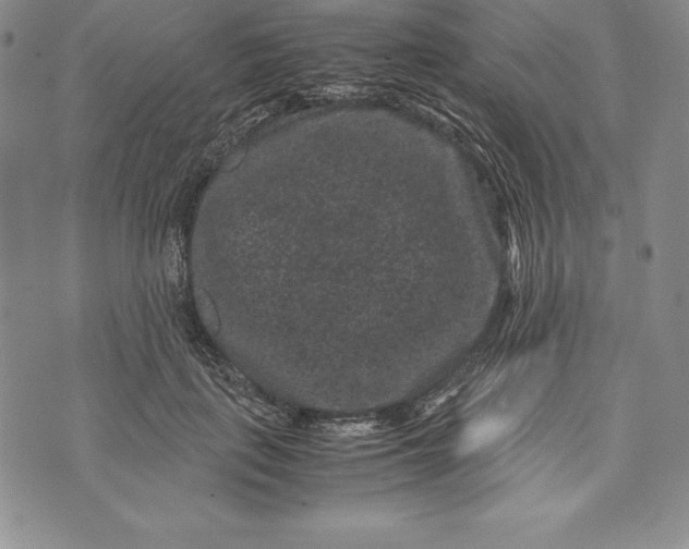 X0000072500651200608041442