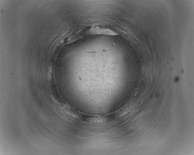 X0000072500652200608041442