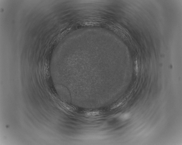 X0000072500653200608041442