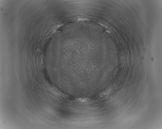 X0000072500654200608041442