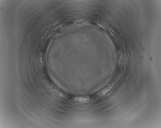 X0000072500655200608041442