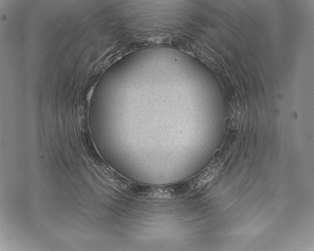 X0000072500656200608041442