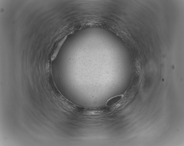 X0000072500657200608041442