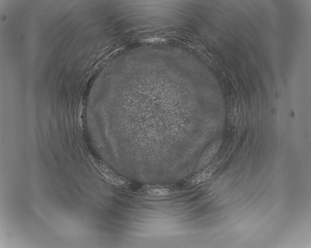 X0000072500658200608041442