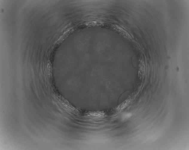 X0000072500659200608041442