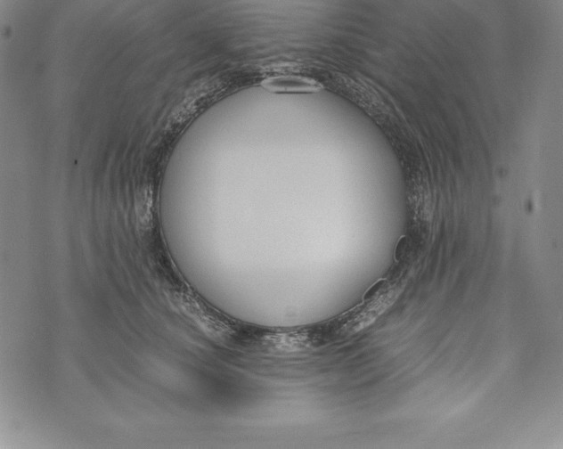 X0000072500660200608041442