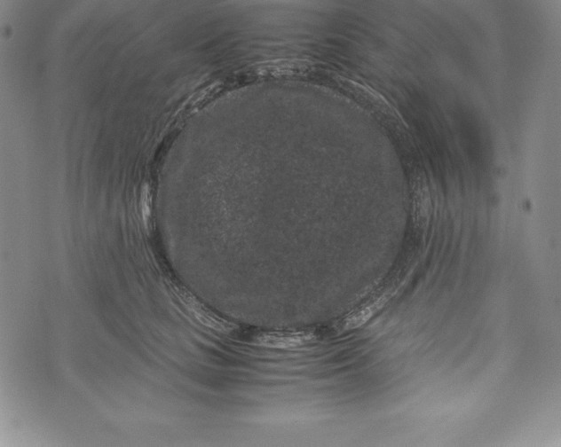 X0000072500661200608041442