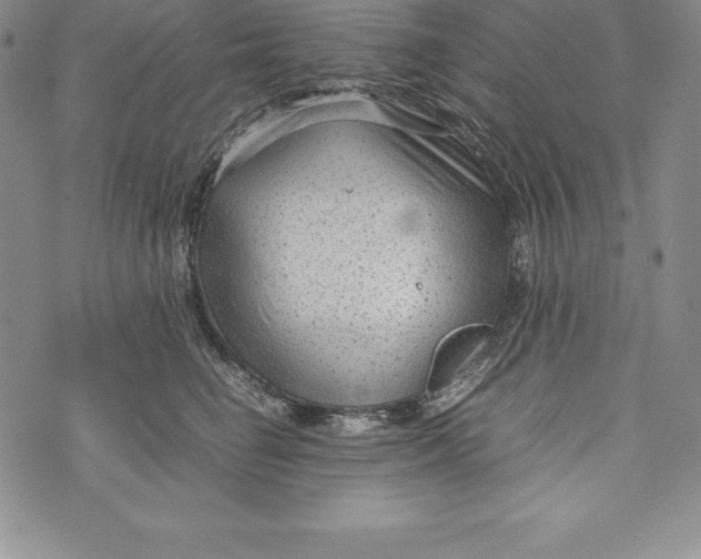 X0000072500662200608041442