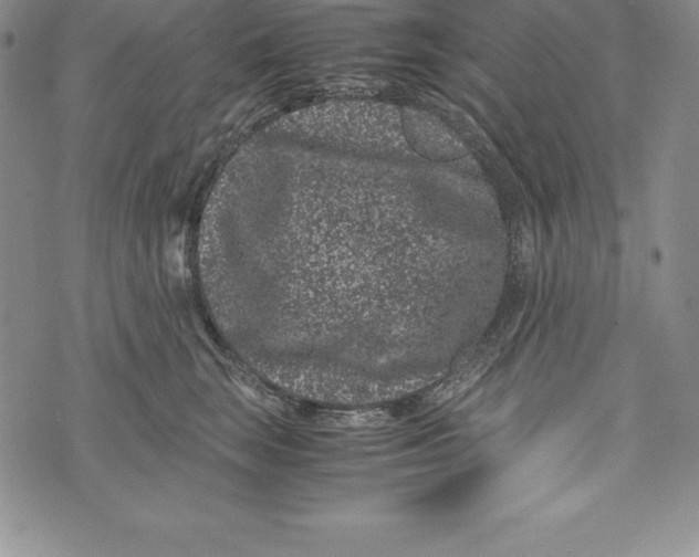 X0000072500663200608041442