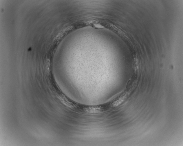 X0000072500664200608041442