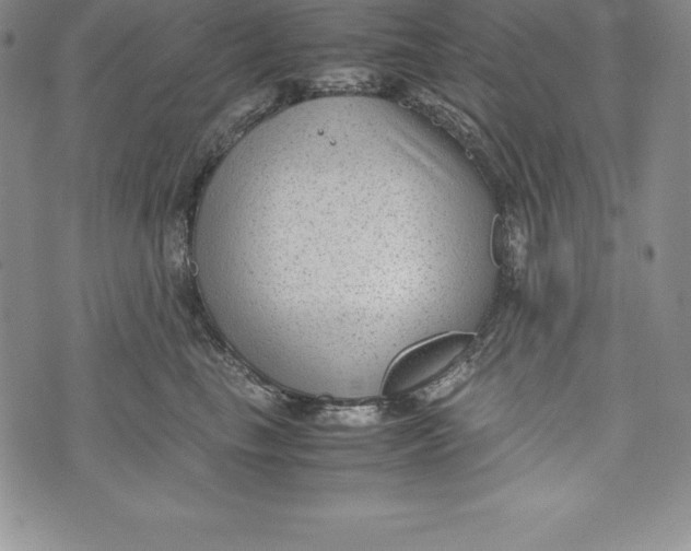 X0000072500665200608041443