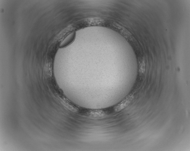 X0000072500666200608041443