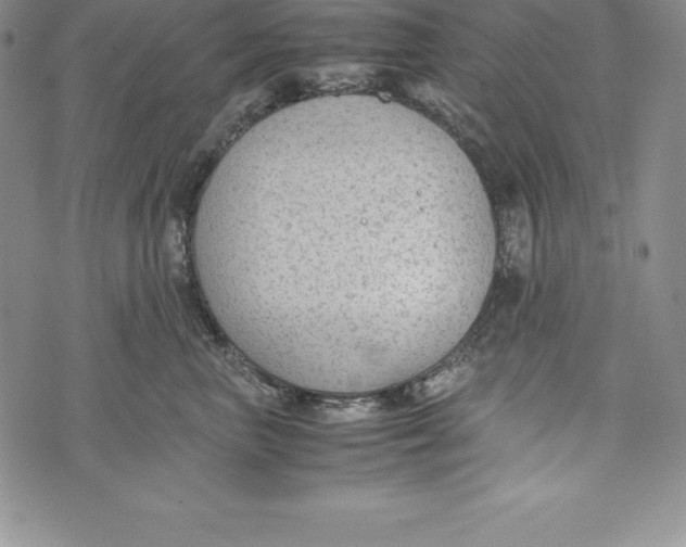 X0000072500667200608041443