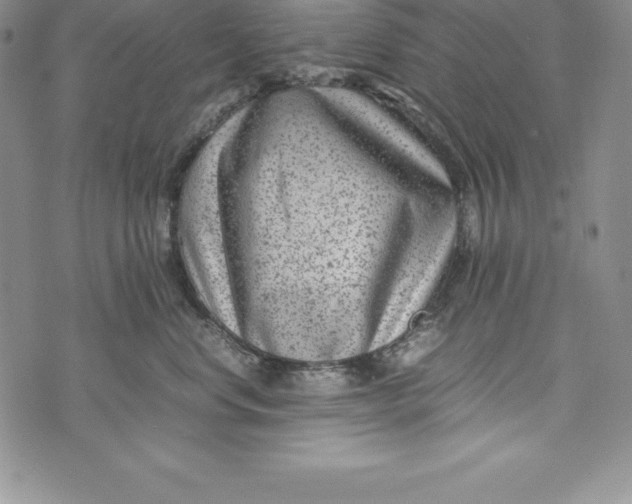 X0000072500668200608041443