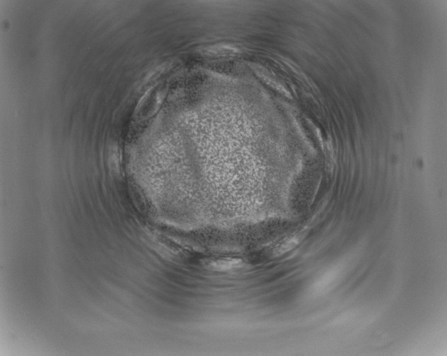 X0000072500669200608041443