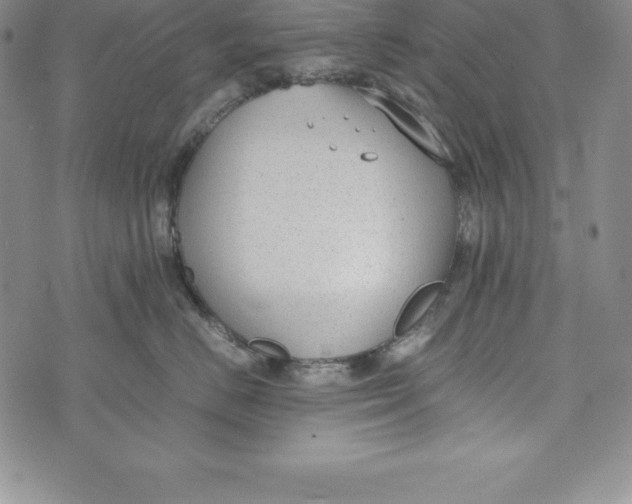 X0000072500670200608041443