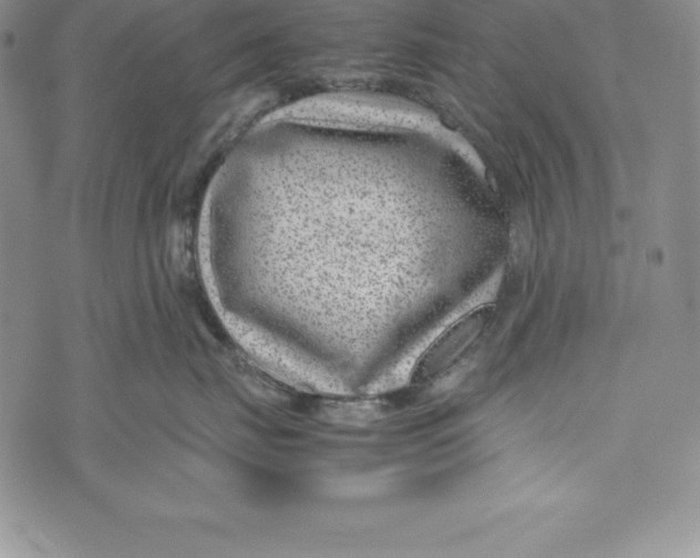 X0000072500671200608041443