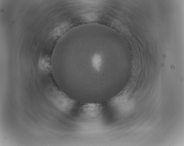 X0000072500672200608041443