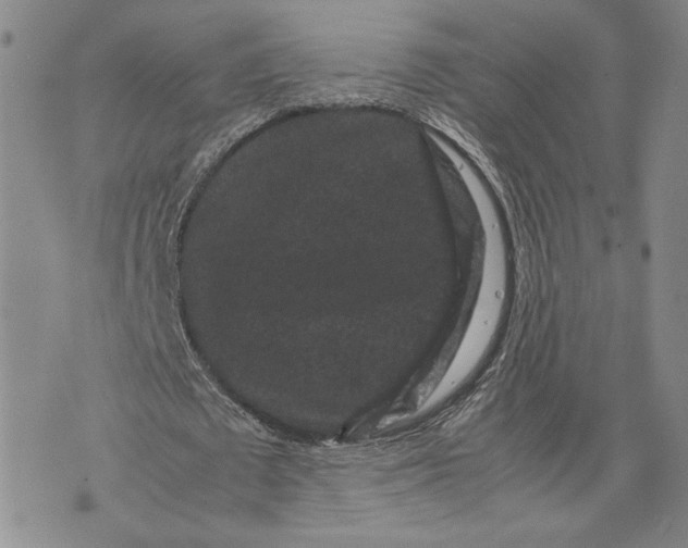 X0000072500673200608041442