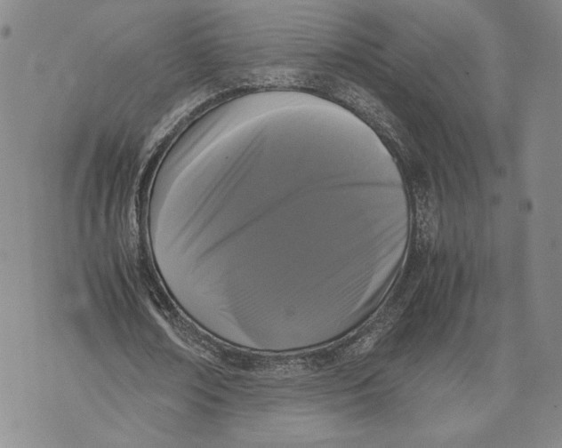 X0000072500674200608041442