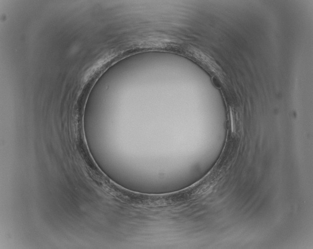 X0000072500675200608041442